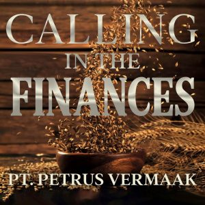 Calling In The Finances: Your Blueprint to God's Plan for Prosperity in the End Times