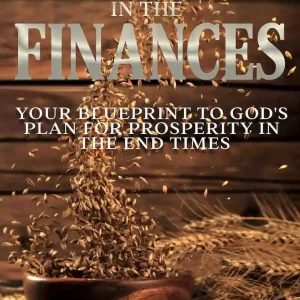 Calling In The Finances: Your Blueprint to God's Plan for Prosperity in the End Times
